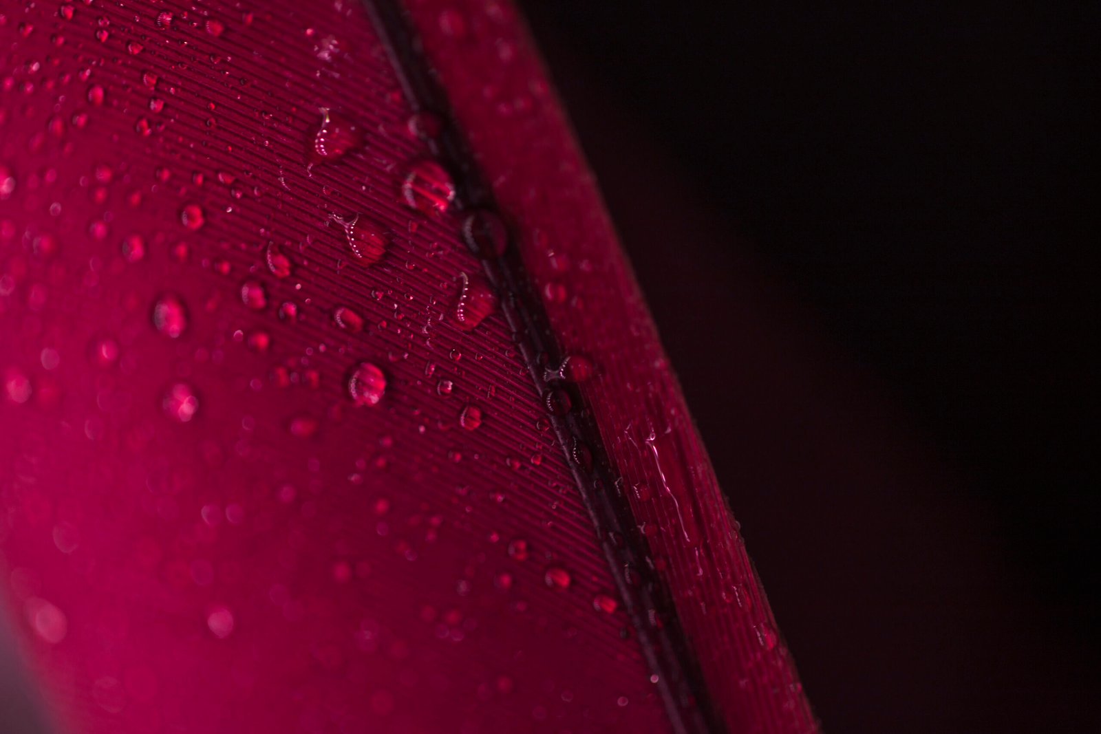 Conheça nossos produtos