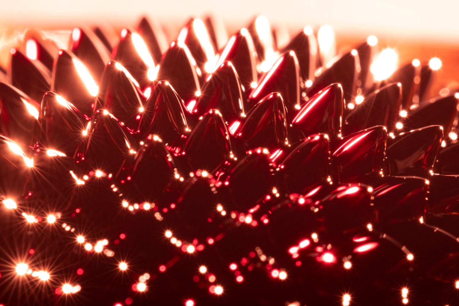 Plano de Ação Inicial