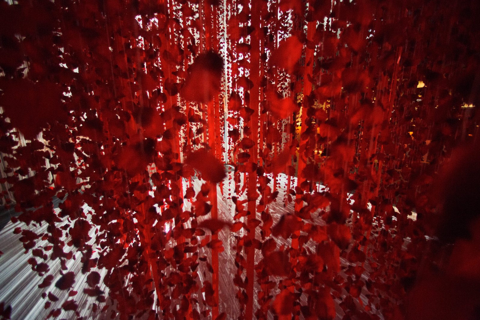 Trilhas Guiadas com IA